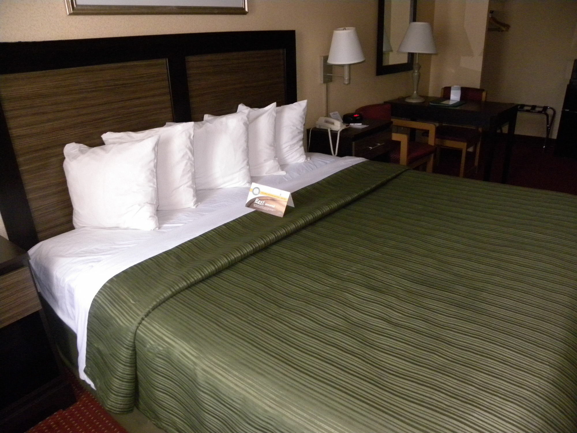Quality Inn Mount Vernon Alexandria Eksteriør billede